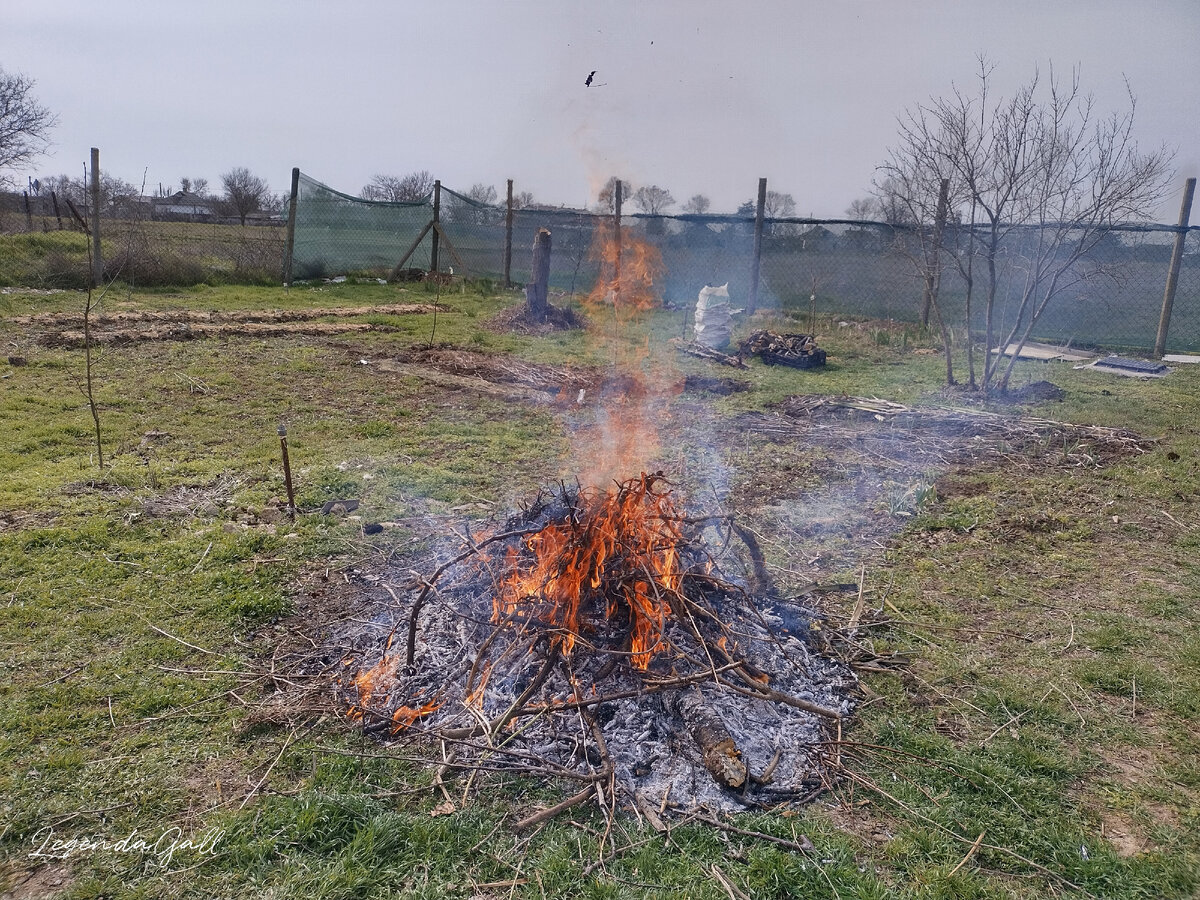 Это основные ветки горят, точнее, догорают