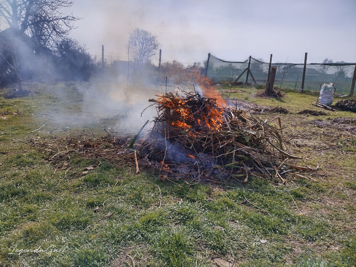 А это я уже от забора натаскала, в том числе плети барвинка.. Ох и дымит он!