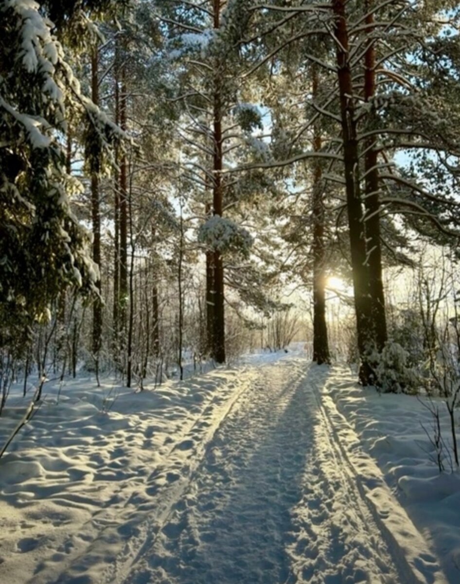 Такая красота в 15 км от города)) д. Сосновка