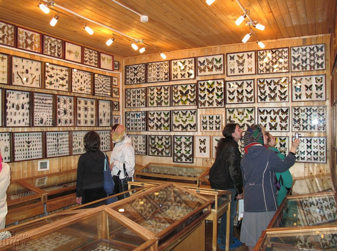 Фото из свободного доступа