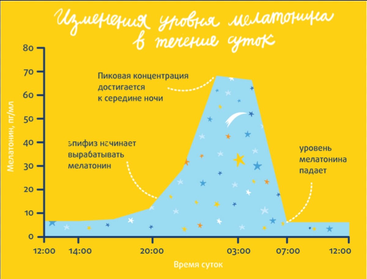 Какой гормон во сне. Мелатонин часы выработки гормона. Мелатонин фазы выработки. Мелатонин график выработки. Выработка мелатонина по часам.