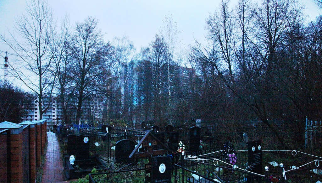Фотография взята из источника yandex.ru