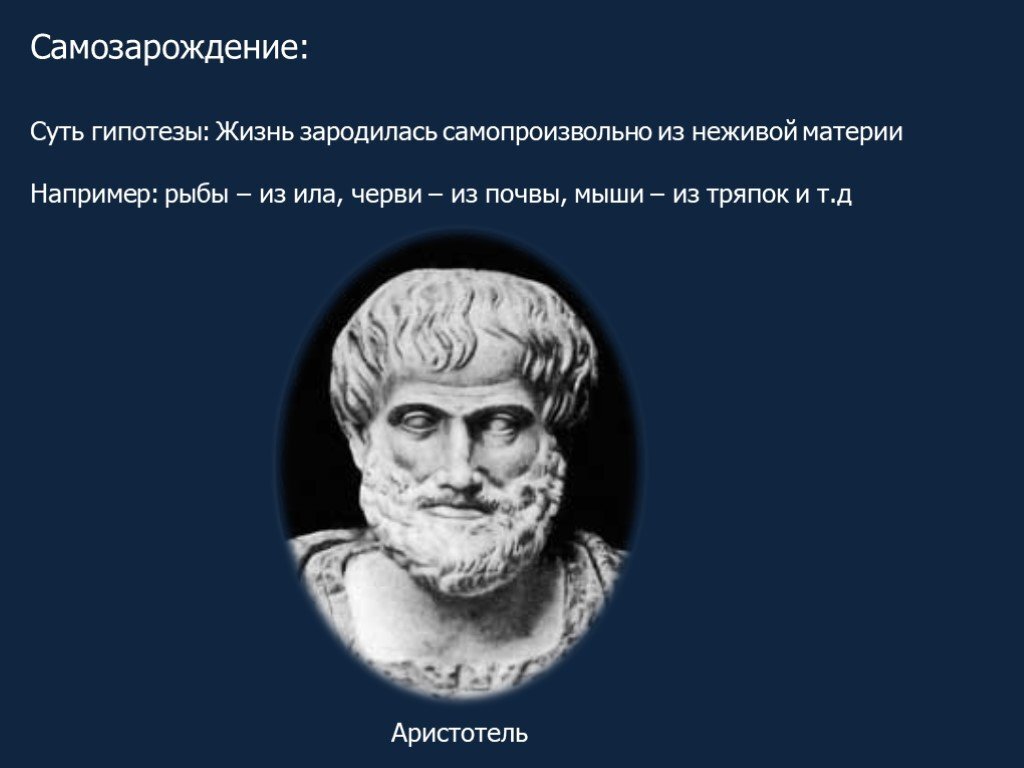 Самопроизвольное зарождение жизни суть. Аристотель теория самозарождения. Теория самозарождения жизни. Гипотеза самозарождения. Теория самопроизвольного зарождения жизни.