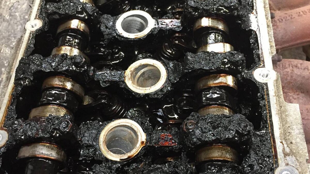 Картинка из свободных источников для ознакомления.