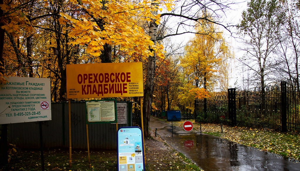 Фотография взята из источника yandex.ru