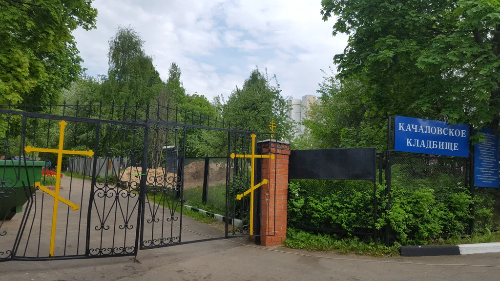 Фотография взята из источника yandex.ru