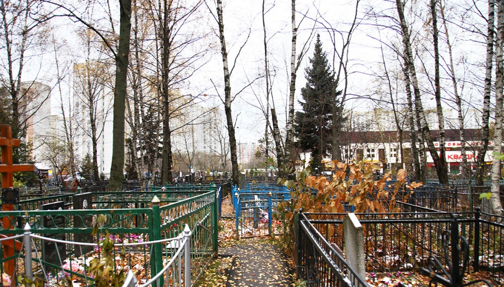 Фотография взята из источника yandex.ru