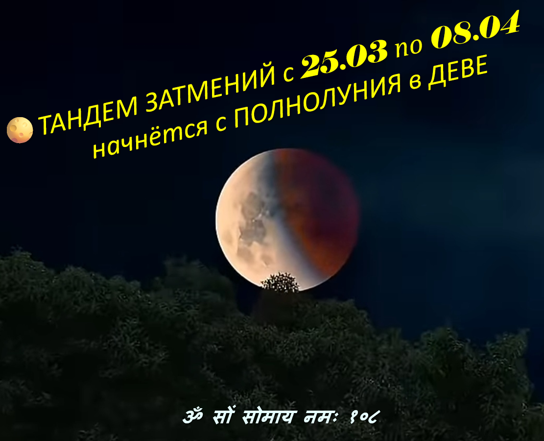 Фото взято из открытых источников