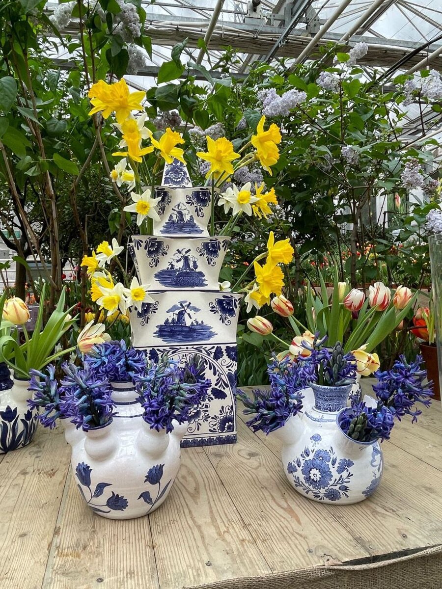 аптекарский огород выставка тюльпанов 2024. выставка тюльпанов в аптекарском огороде 2022. ботанический сад аптекарский огород тюльпаны. репетиция весны в аптекарском огороде 2023. аптекарский огород выставка тюльпанов.