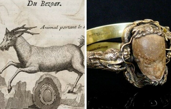 Безоар как противоядие в Средневековье.