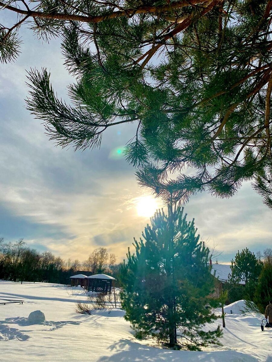 Автор Незаразная Зараза. https://dzen.ru/search?query=%D0%BD%D0%B5%D0%B7%D0%B0%D1%80%D0%B0%D0%B7%D0%BD%D0%B0%D1%8F%20%D0%B7%D0%B0%D1%80%D0%B0%D0%B7%D0%B0&sid=214643284154670131