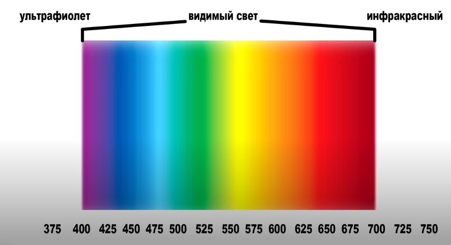 Длинна световых волн в нанометрах.