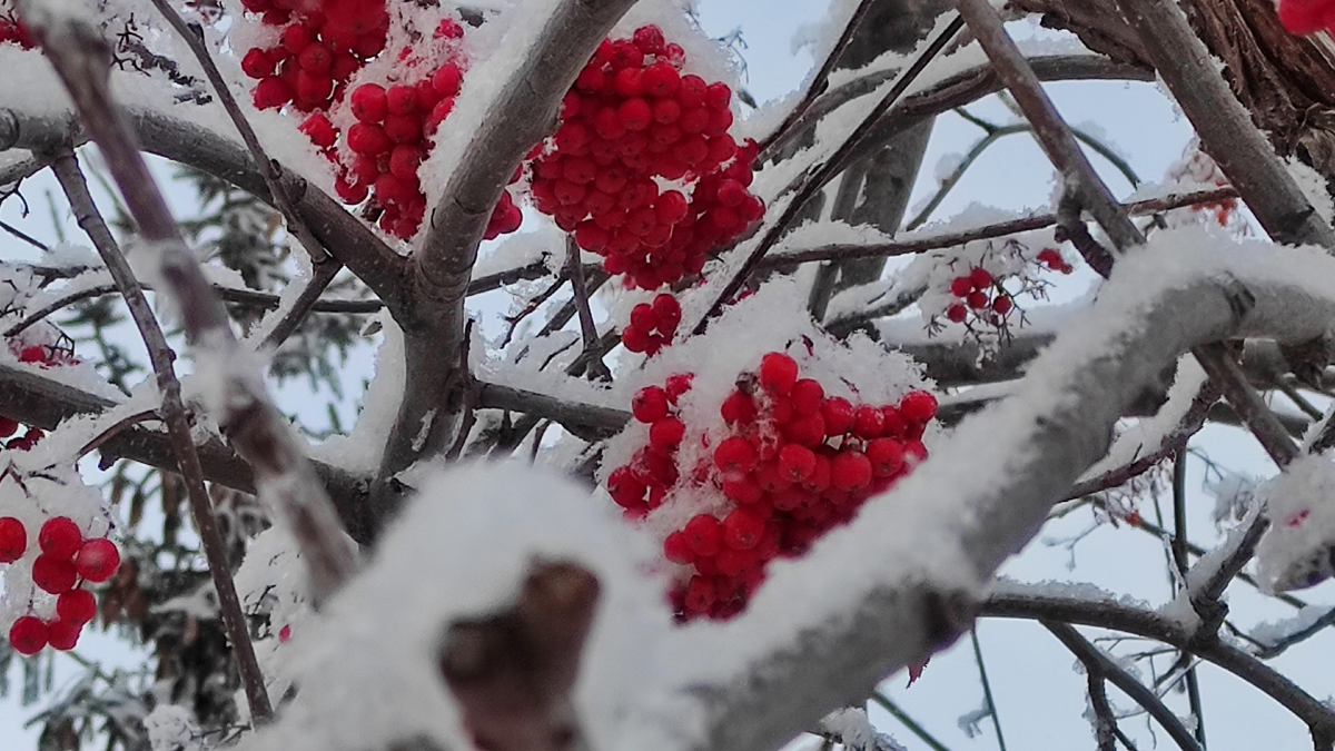 Мы из другого века | Елена Халдина | Дзен
