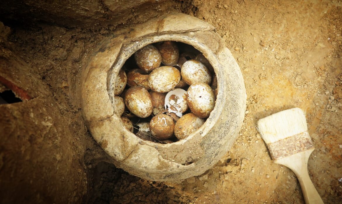 Окаменелые яйца из Китая. Открытые источники.