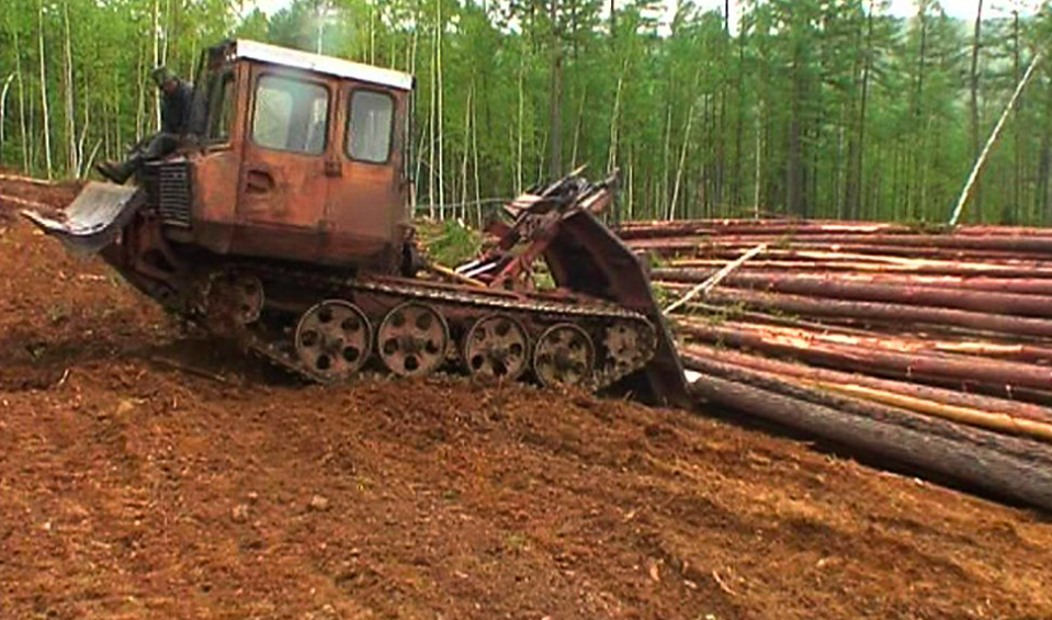 яндекс