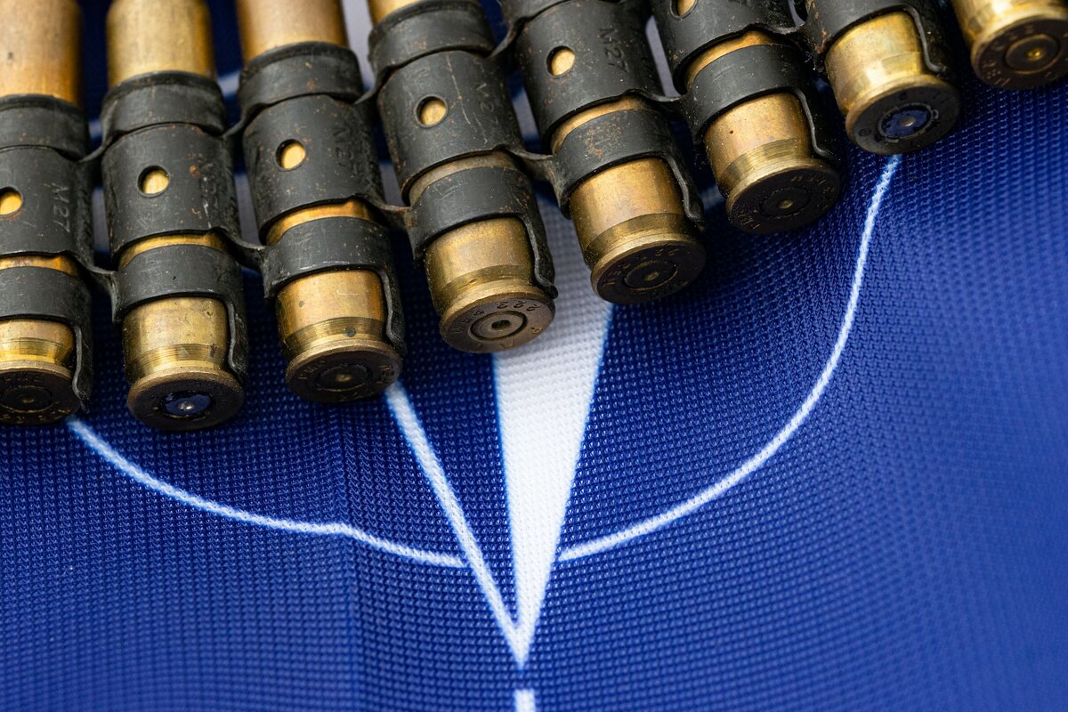 Фото: Marek Studzinski/unsplash.com