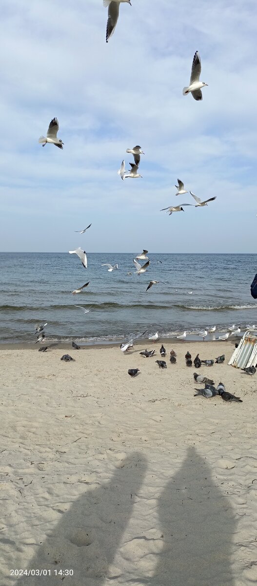 Пионерский