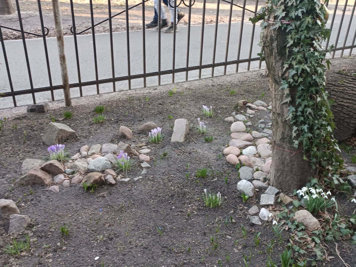 Двор моего дома. 