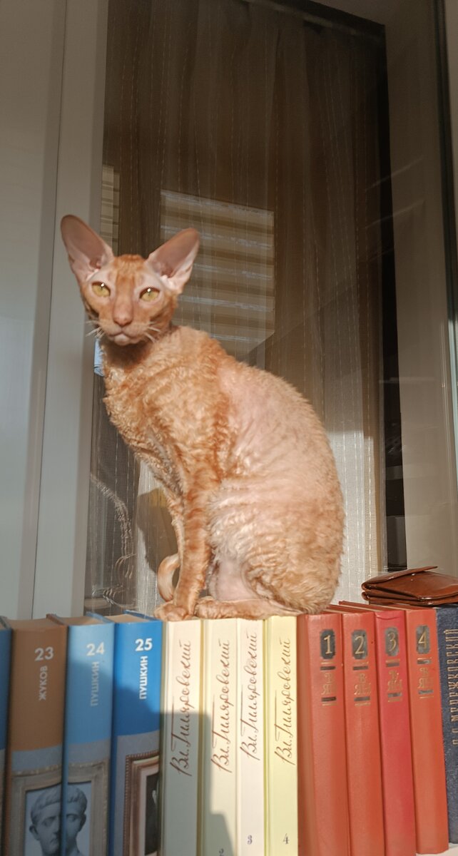 И не только тебе. Мышки здесь тоже нравиться. 