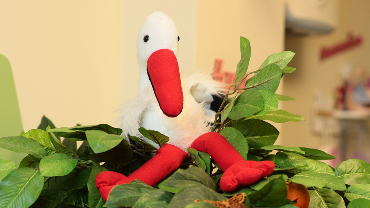 GMS ЭКО на Ямской