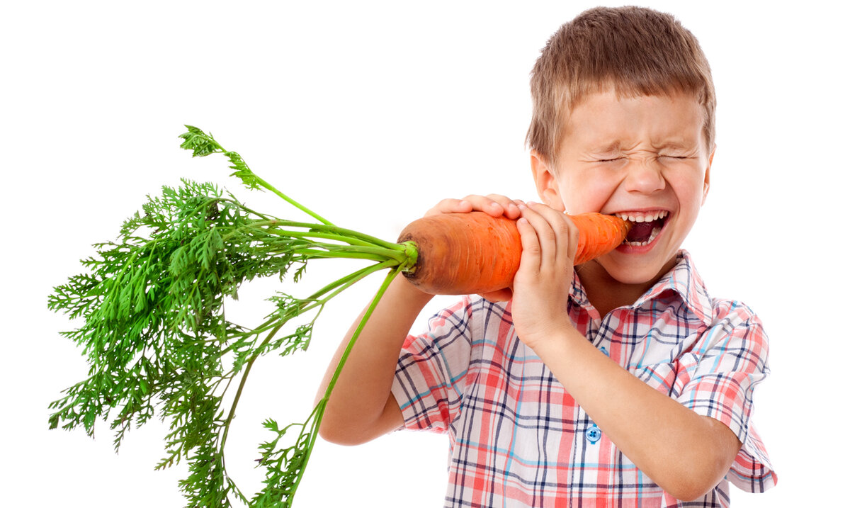 Изображение взято из открытых источников.