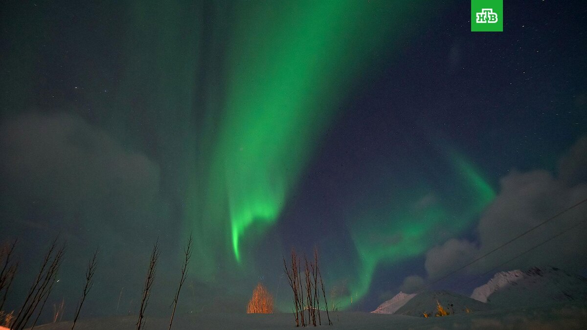    Фото: wolfgang_hasselmann / unsplash.com