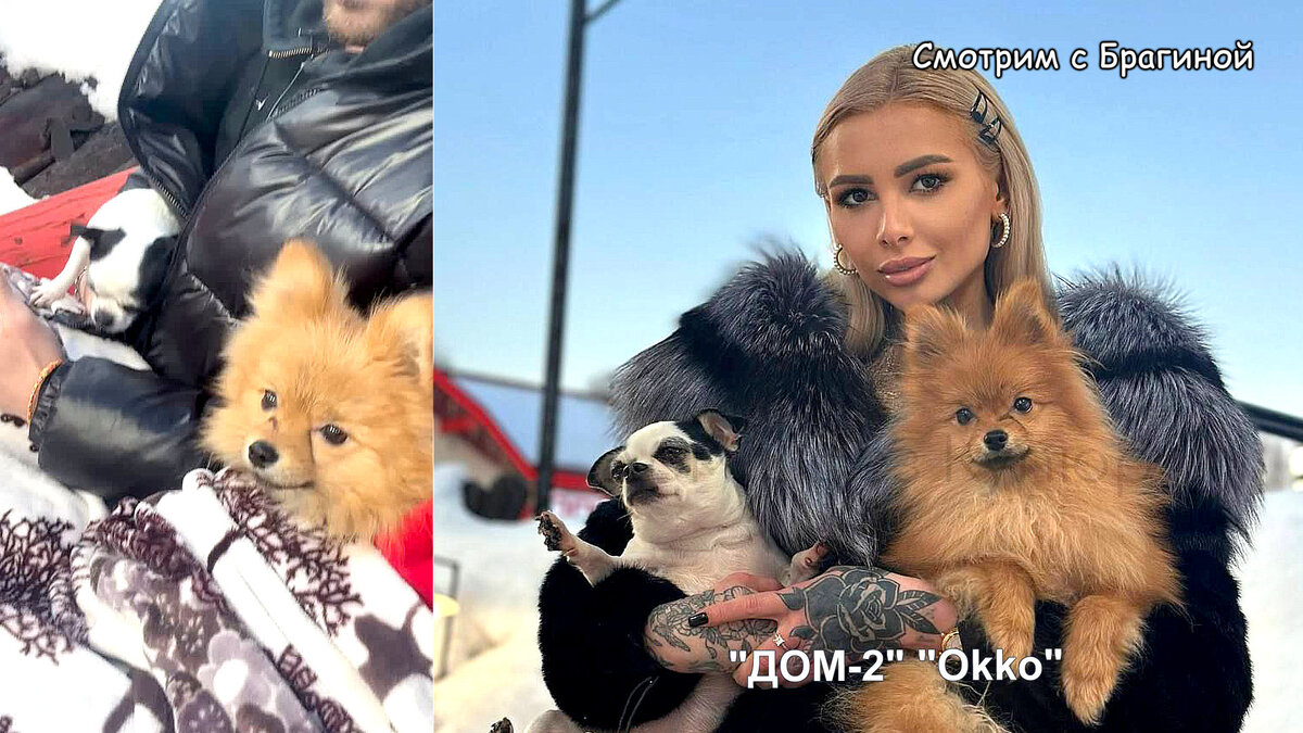 Фото: соцсети
