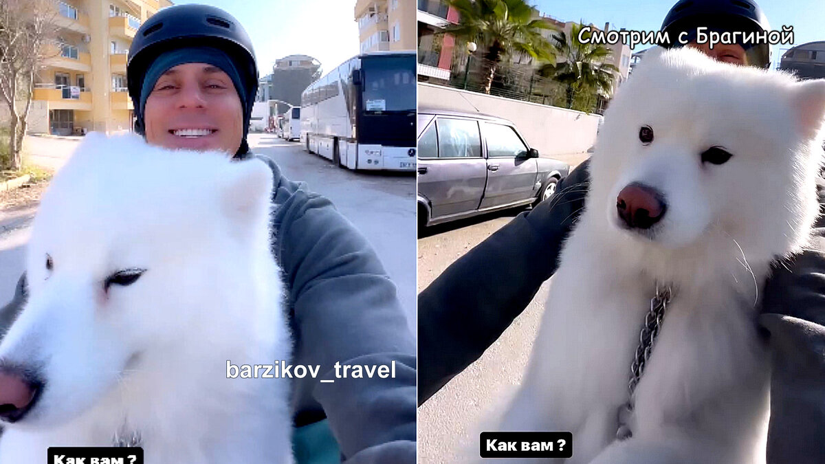 Фото: соцсети
