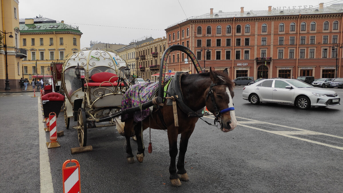 Архив автора. Нет, это не Михайловский замок а вот что это, приезжайте, узнаете...
