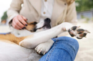    фото: freepik.com/freepik Марина Черненкова