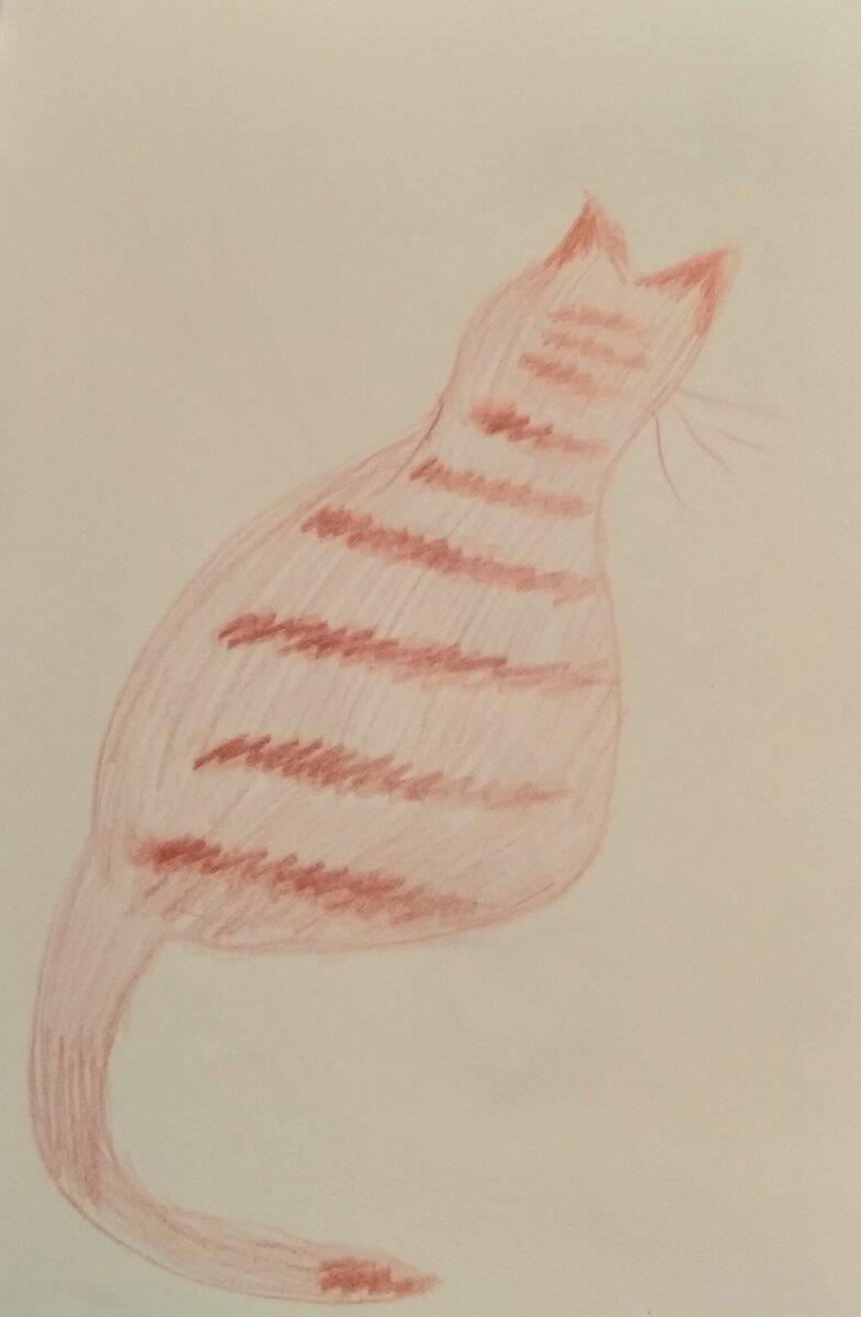 Кот