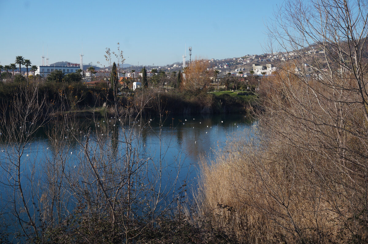 Фото автора.