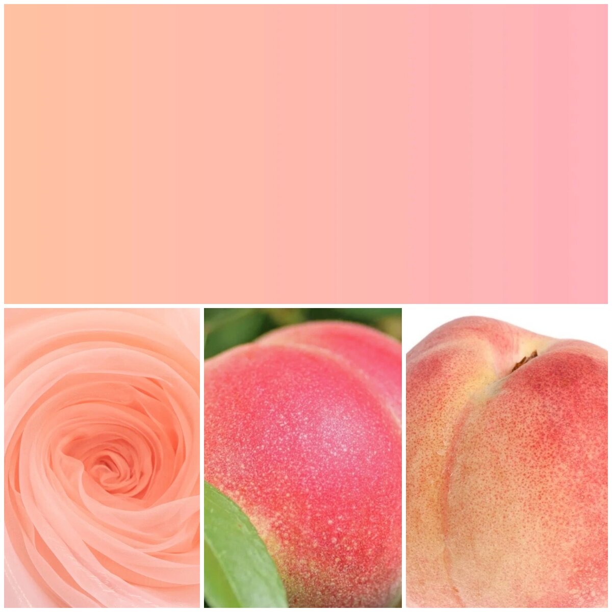 Коллаж автора, фото из картинки Yandex 