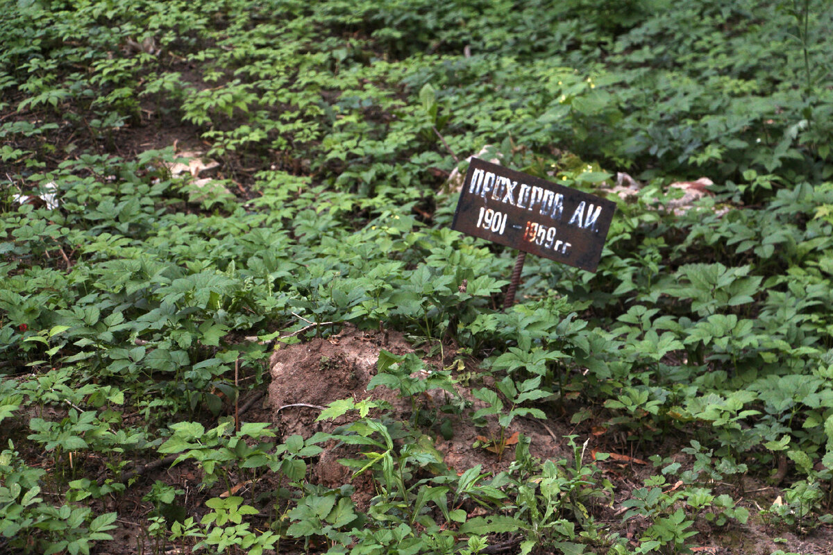 Например, на Всехсвятском есть вот такие могилки, из опознавательных знаков только табличка