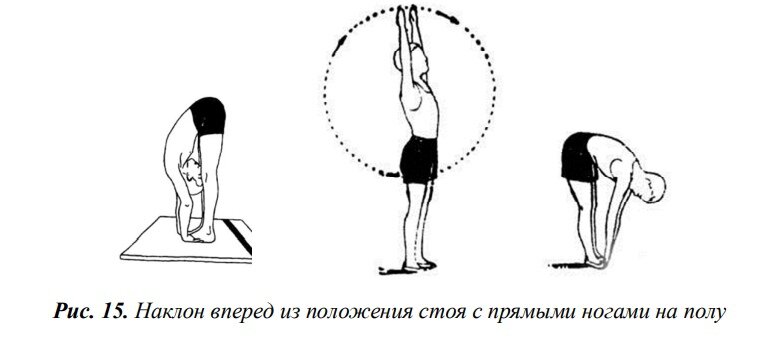 Техника выполнения наклона. Наклоны вперед. Наклон вперед стоя. Наклон вперед из положения стоя с прямыми ногами на полу. Наклон туловища вперед из положения стоя.