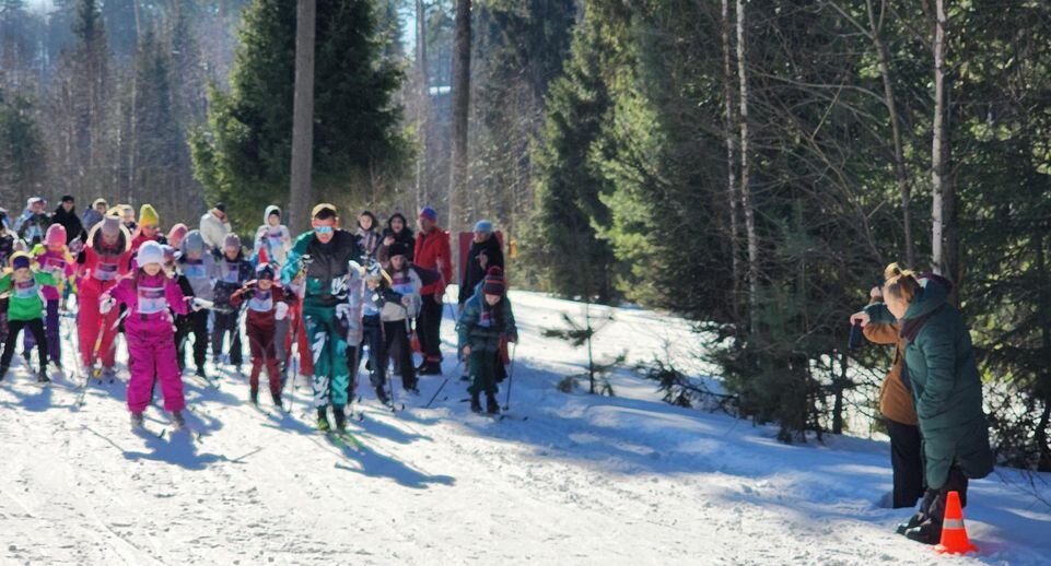    Екатерина Мелкозёрова