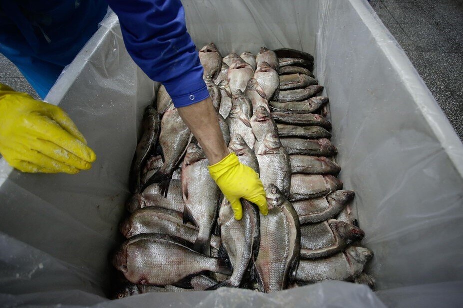    Автор фото: Антон Ваганов