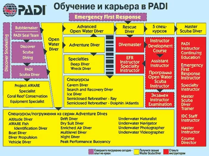 Пади пади алиса. Padi курсы. Специализации Padi. Padi уровни квалификации. Классификация дайверов Padi