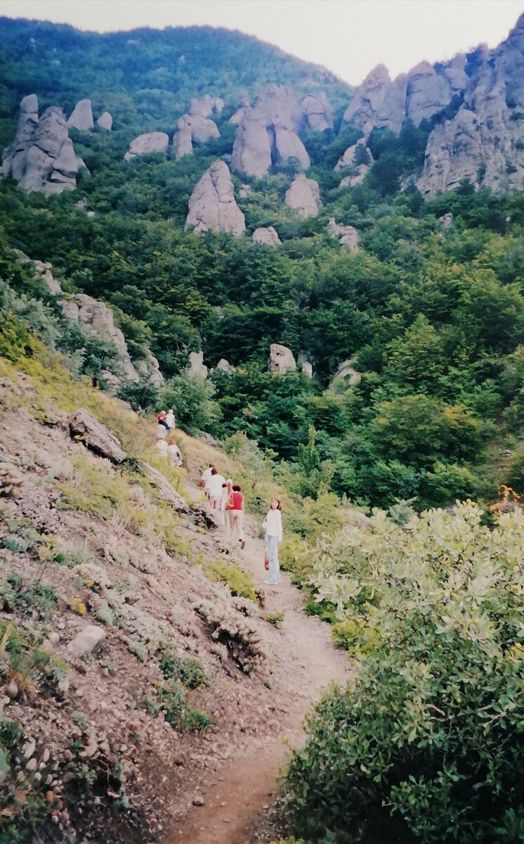 Фото автора.