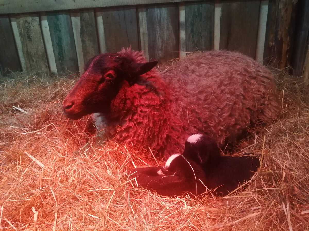 Фото, опровергающее сомнения. 