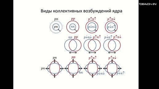 Капитонов И.М. - Взаимодействие фотонов и электронов с атомными ядрами - 1. Введение