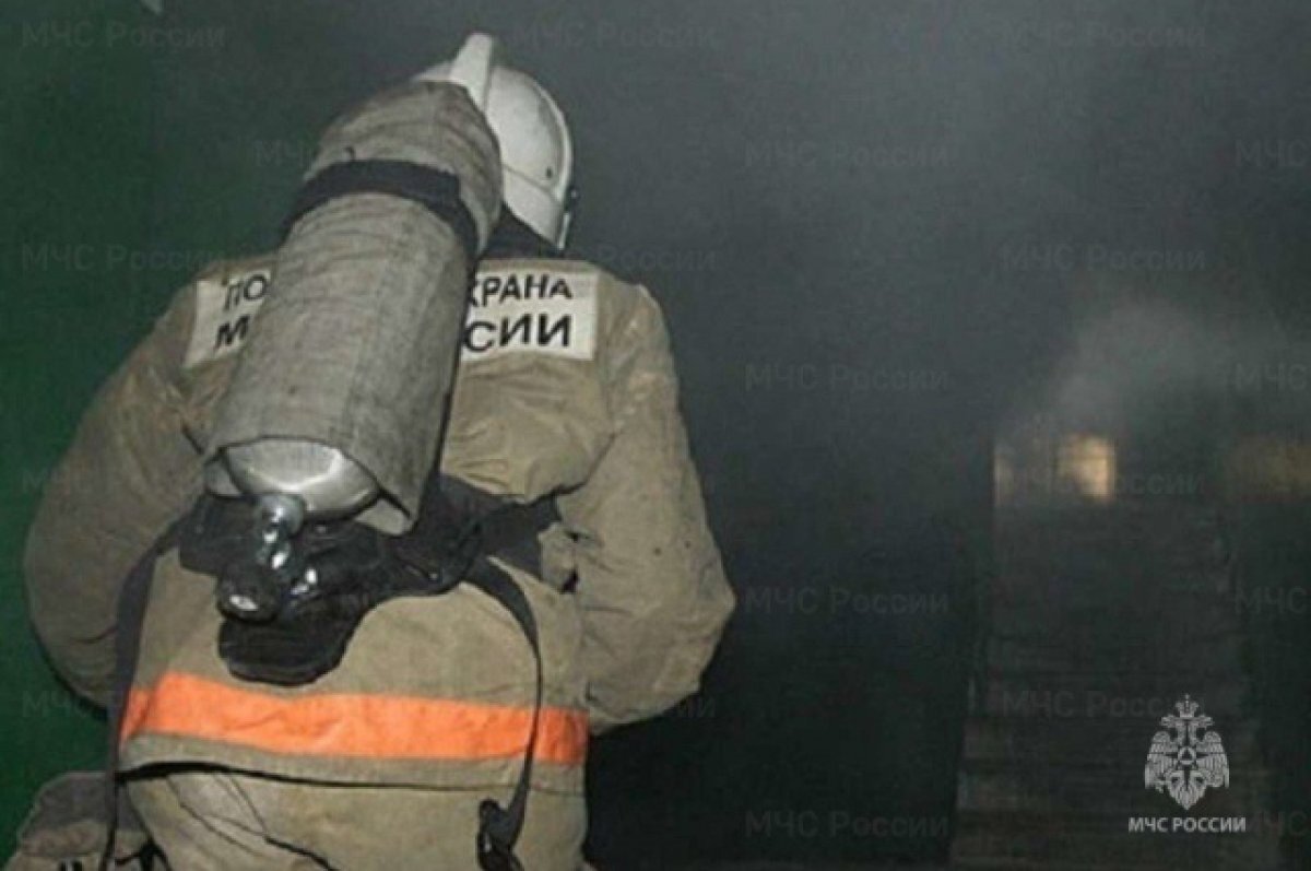    Более 300 человек направили на тушение палов в Хасанском округе Приморья