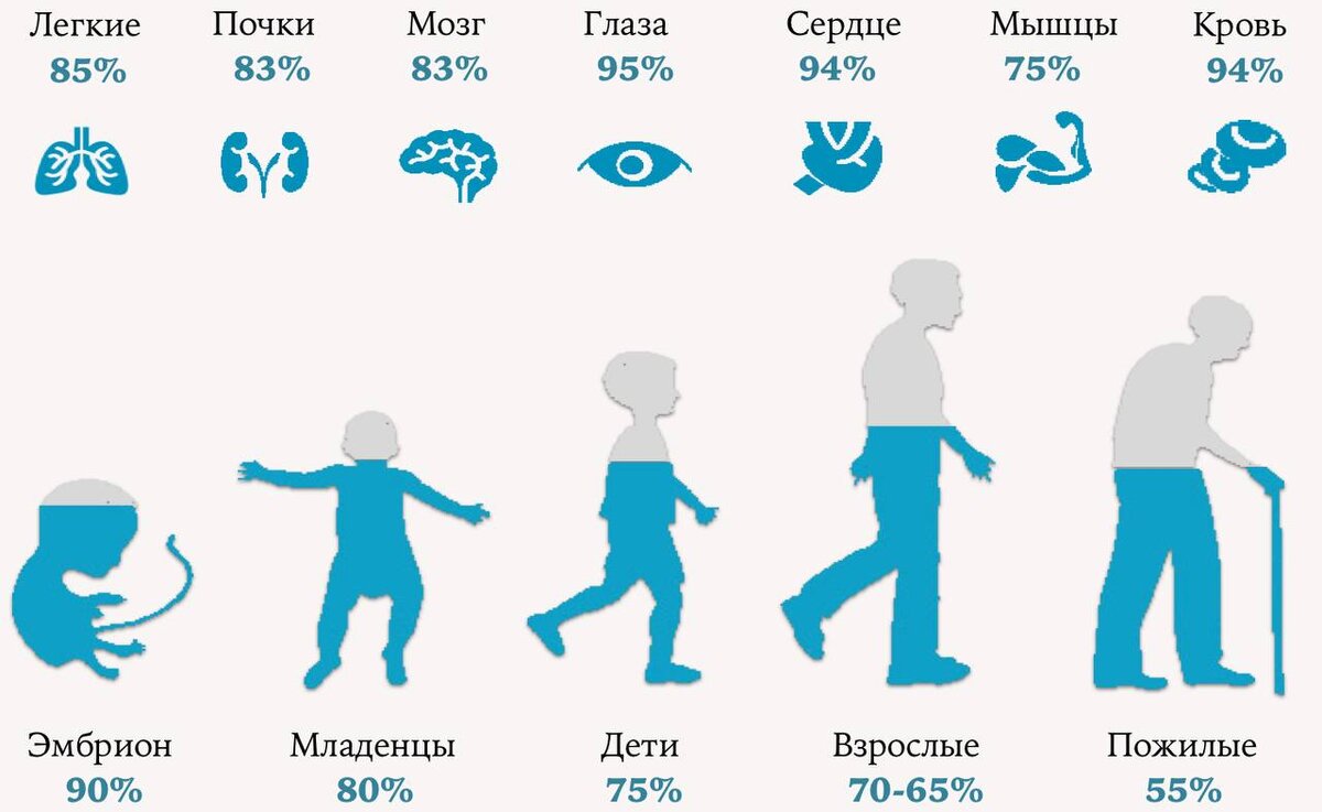 Источник: yandex.ru