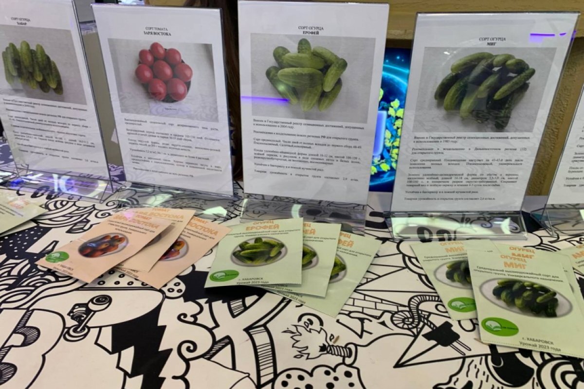    Новые сорта семян набирают популярность у дачников в Хабаровском крае