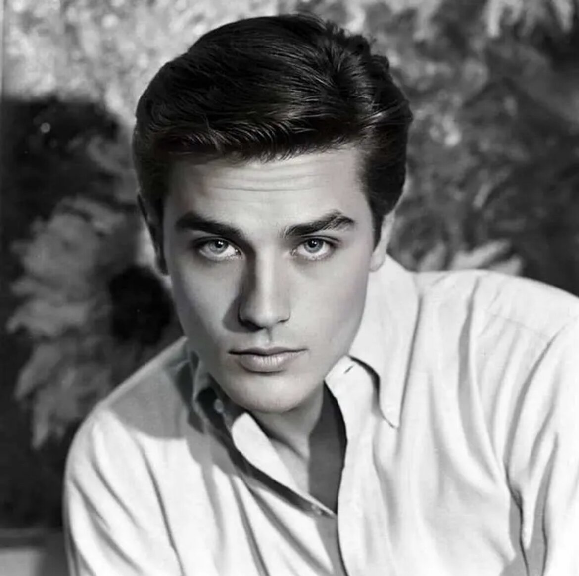 Alain Delon