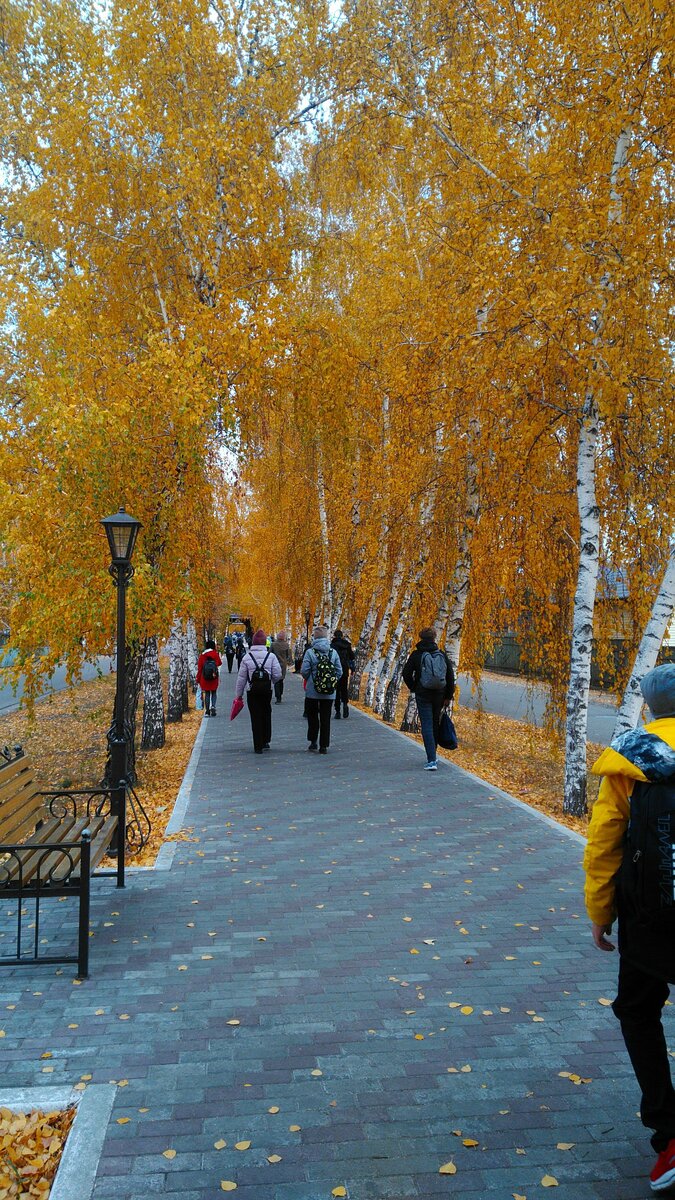Фото иллюстративное. Аллея в Мамонтове, улица Партизанская. Октябрь 2022.