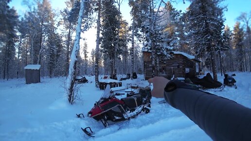 В тайгу на снегоходах Ирбис СФ 200 супер лонг irbis sf 200 super long Динго Т 200 Yamaha Viking VK 540 Arctic Cat 580 BRP