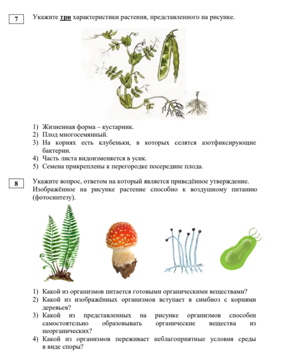 Картинки растений по биологии 6 класс