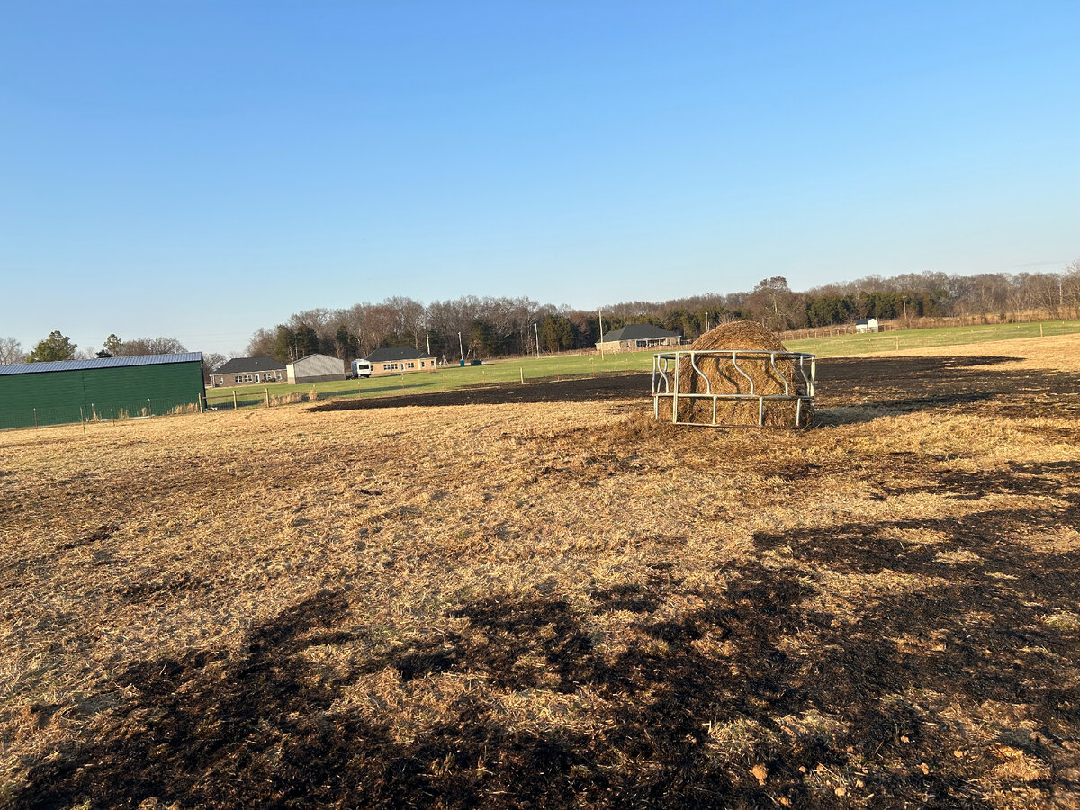 Зеленый сарай который мы отстояли