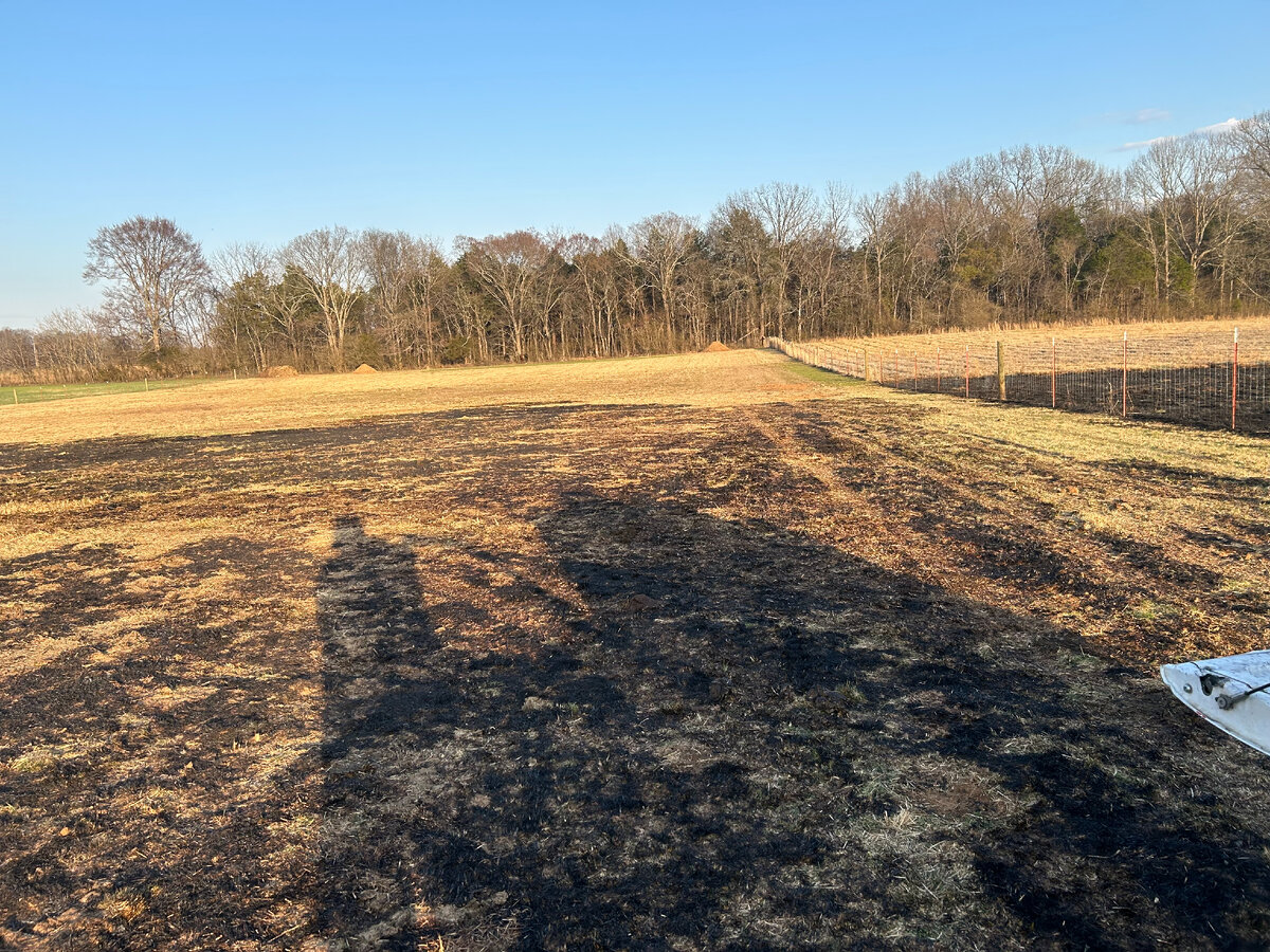Через забор справа мне пришлось перелезать.